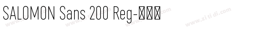 SALOMON Sans 200 Reg字体转换 SALOMON Sans 200 Reg字体转换
